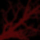 WITCH HUNT THEATRE (1)_edited.jpg