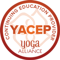 YACEP continuing education in Cozumel,Mexico