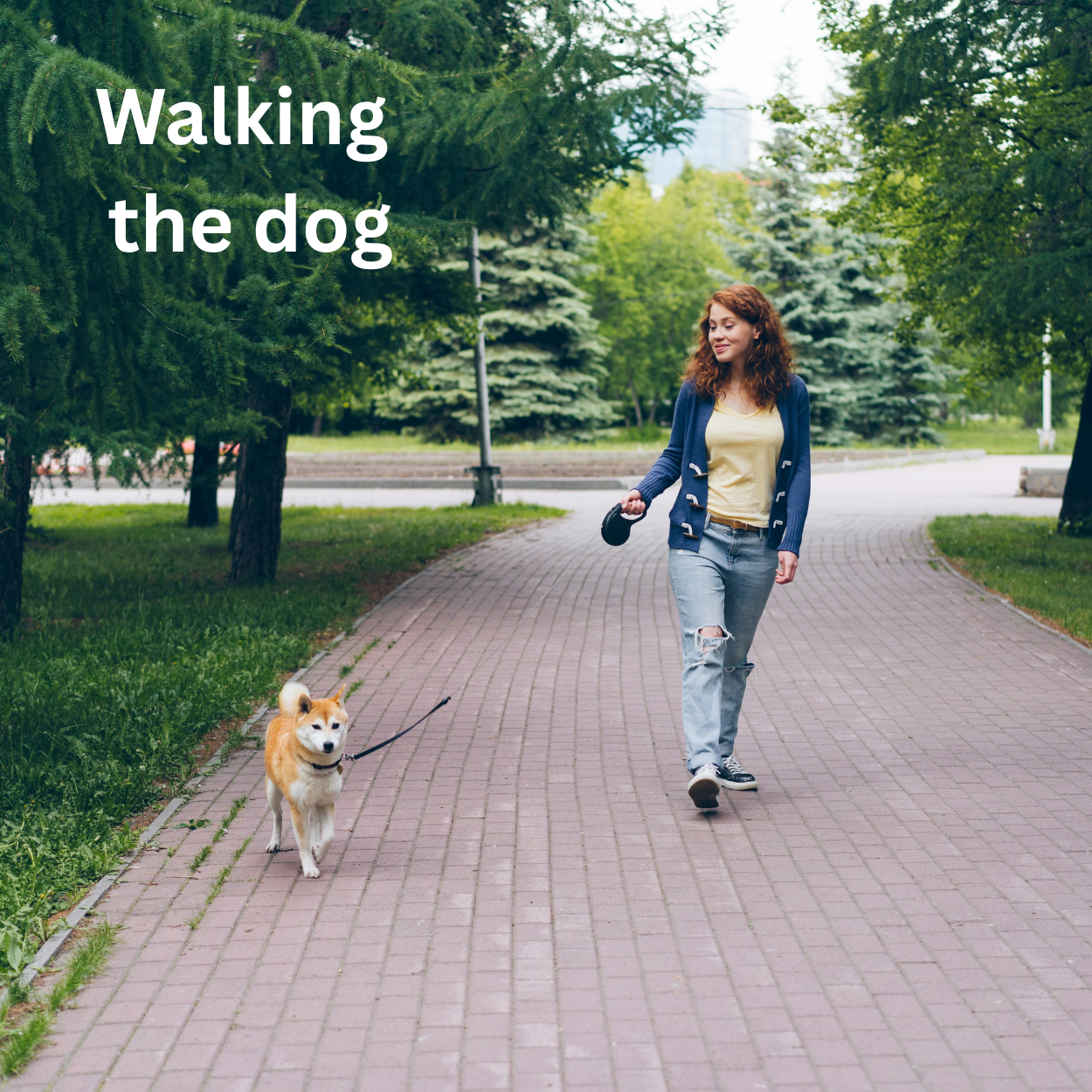 Dog Walker