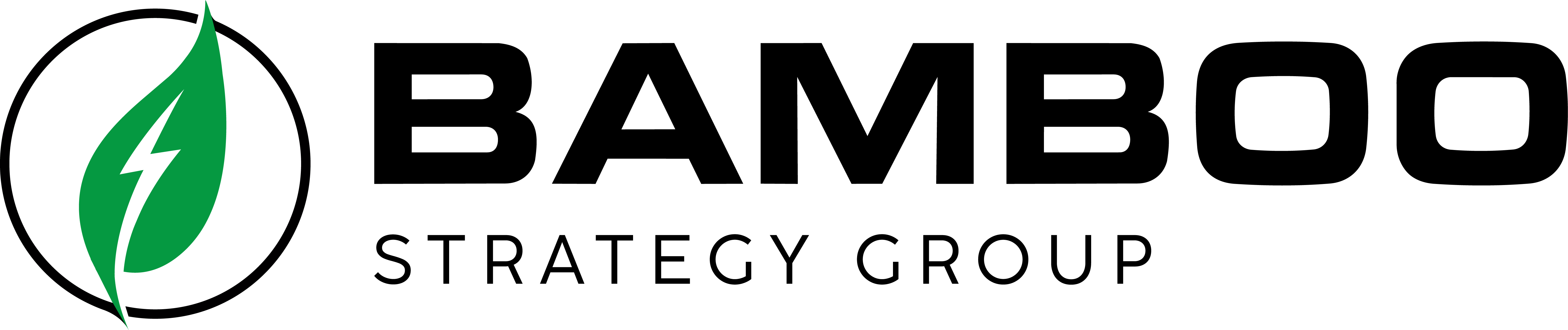Alternative Logo_Black and Green.png