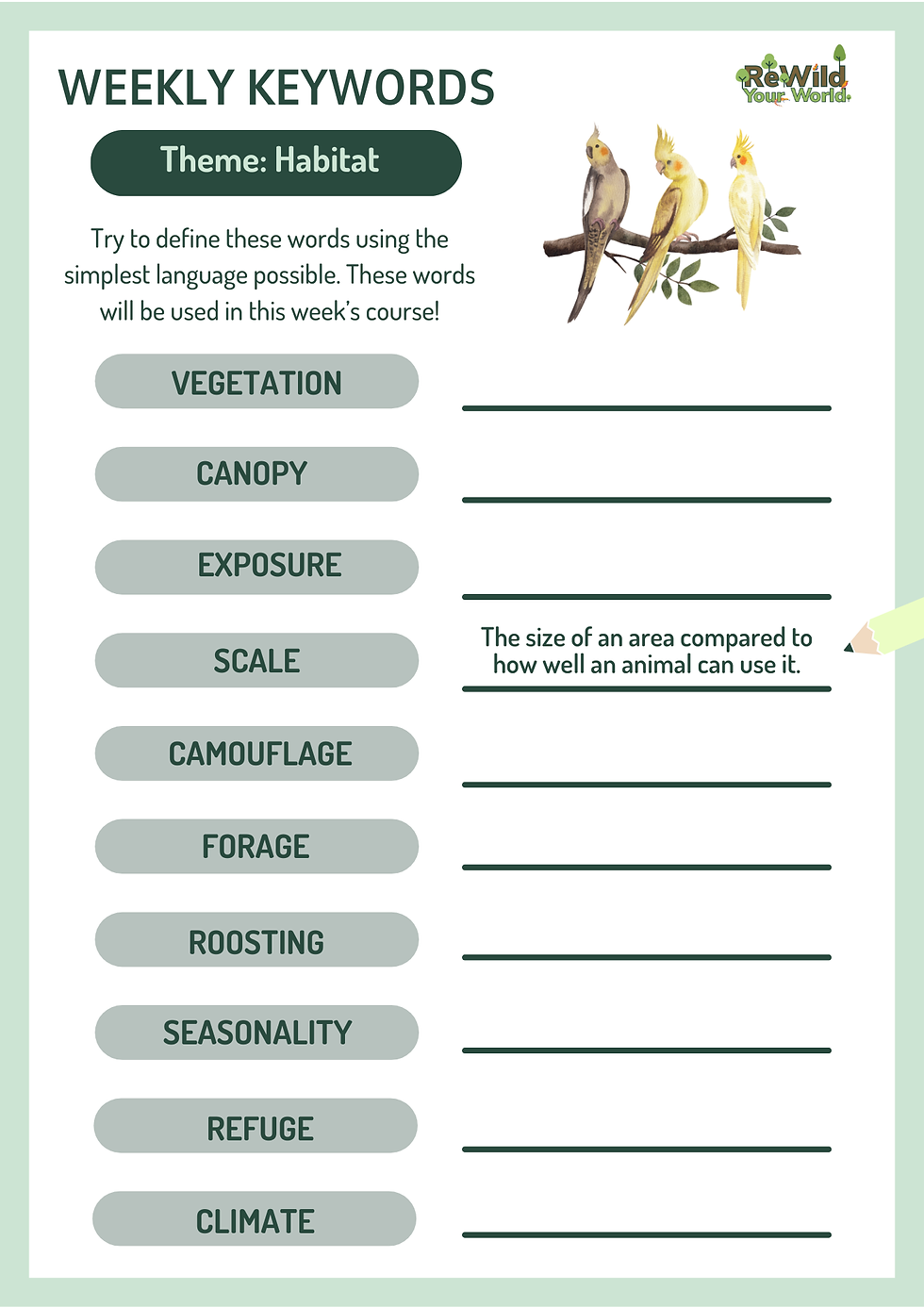 Copy of Copy of Rewild Your School - Student Workbook Completed.png