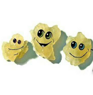 KEFIR GRAIN CARTOON PIC.png