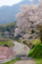 takahama_36