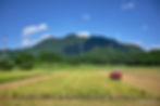 takahama_21