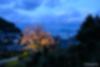 takahama_24