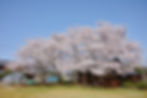 takahama_32