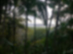 peninsula_de_marau_ - 8