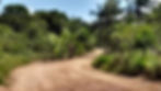 elemental_ecoluxury_villa - 30