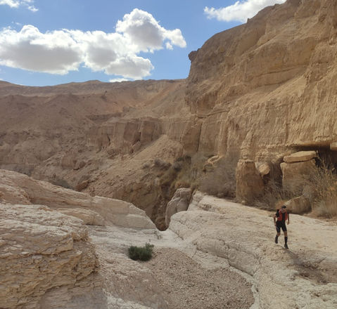 עין גדי לנחל משמר