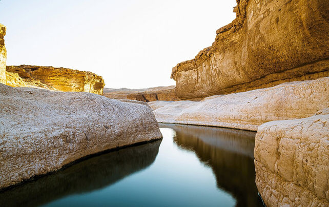 נחל צפית ונחל פרס