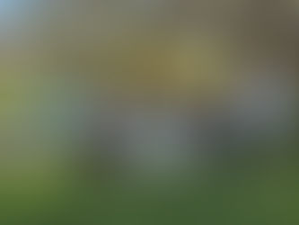 Wine Australia RAP Launch