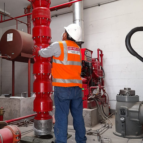 WhatsApp Image 2022-08-09 at 8.17_edited.jpg