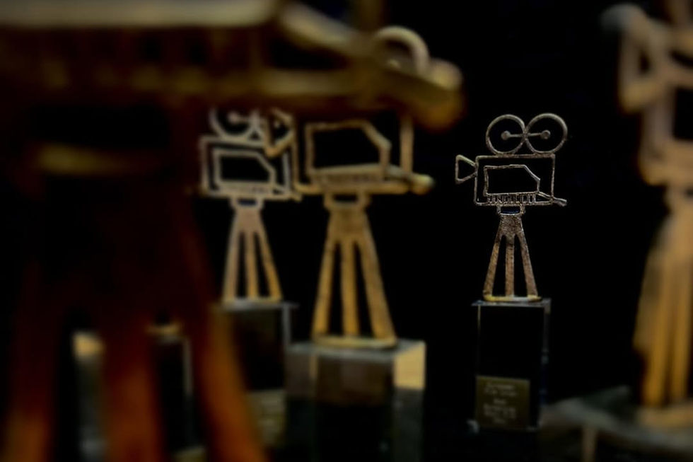 Additional Ardélion Award