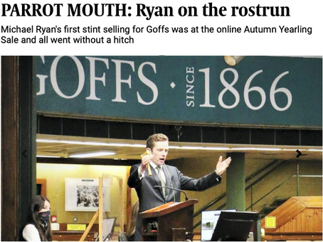 Irish Field - Parrot Mouth