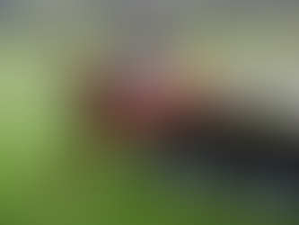 Marvel De Cerisy off the mark over fences