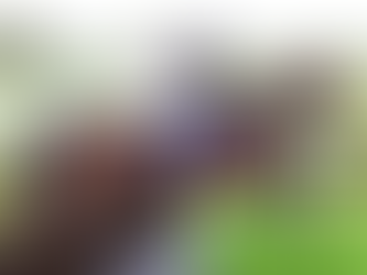 Power makes winning return aboard impressive Gin On Lime