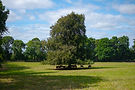 Tanera-83.jpg