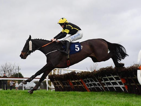 Watch House Cross is back on track over hurdles