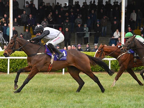Minella Machine lands Wexford finale for De Bromhead