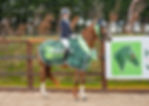 22CF962F-8940-43EE-8202-D1926720C71A.jpeg