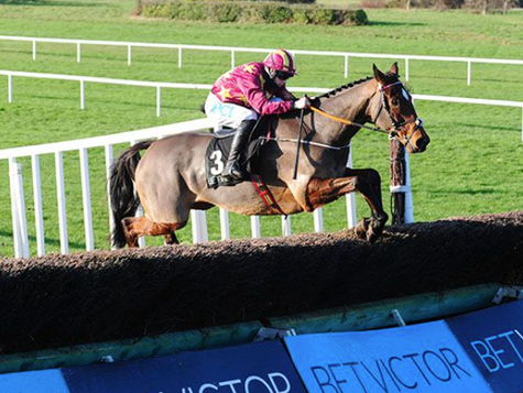 Minella Indo strolls home for de Bromhead