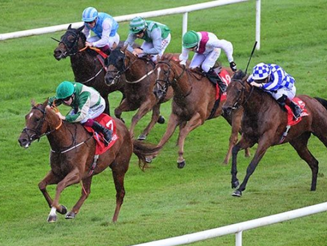 Marakesh scores on debut for Ebor winners