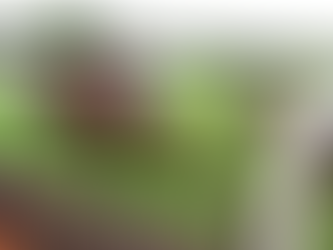 Good Times for De Bromhead with Listowel chasers