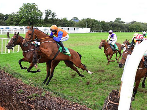 Good Times for De Bromhead with Listowel chasers