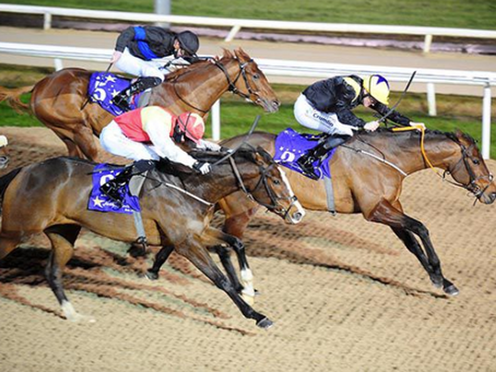 Catena Zapata provides de Bromhead with Flat win