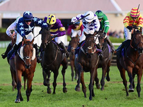 Fangio shows his true worth under Morgan