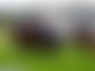 Trebizond gets up late under Robinson