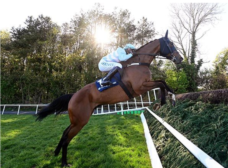 Nouvotic Henry de Bromhead