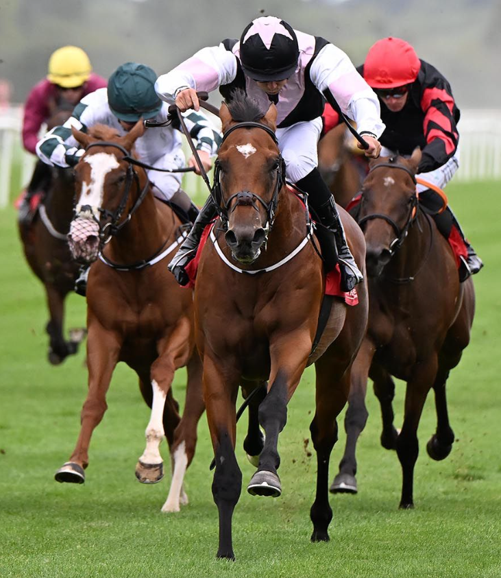 Andy Robertson's colt hits the target at Cork