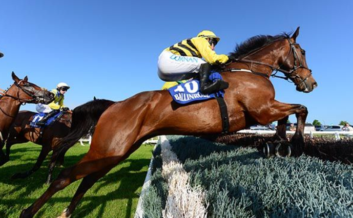 Native Speaker takes Mayo National for de Bromhead and O'Keeffe