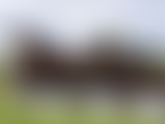 Mike O'Connor loses claim at Clonmel