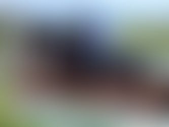 Heartwood wins at Tramore for de Bromhead