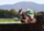 Bythesametoken Killarney 1.jpg