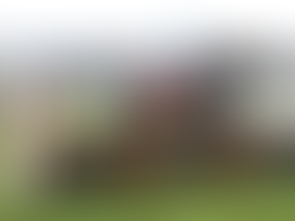 Arctic Bresil overcomes absence to win on rules debut