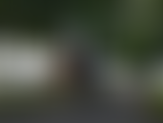 Five-furlong winner for de Bromhead at Down Royal