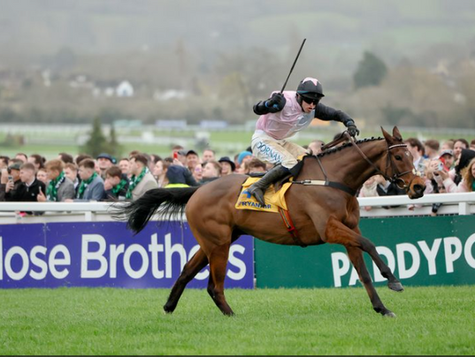 Heartwood wins at Cheltenham