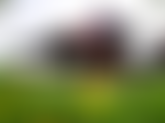 Tideways Hero delivers under well judged Blackmore ride