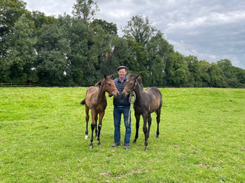 Michael at Lisieux Stud