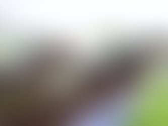 She Tops The lot a third winner on day for de Bromhead