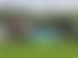 HIGHER LEAVES OU LA FORME DE BROMHEAD… EN PLAT !