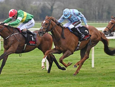 Matt Connor stays on well for Lee