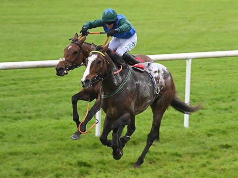 O'Keeffe and de Bromhead grab brace of winners through fortunate Nastya