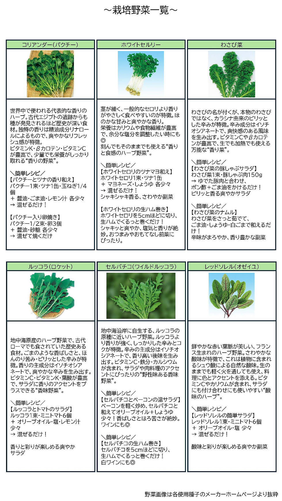 栽培野菜の一覧