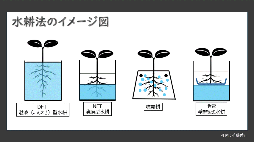 養液栽培の方式