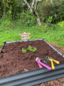 Children's garden plot