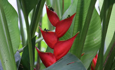 photografie -CMü graphic design